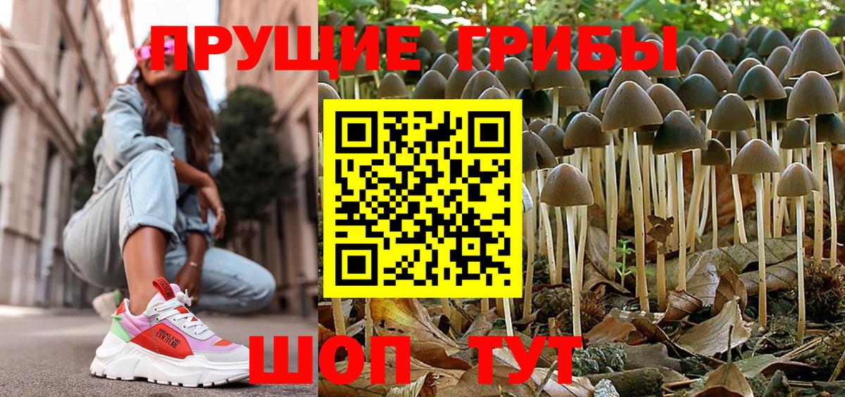 Псилоцибиновые грибы ЛСД  Вход с VPN  Корсаков 